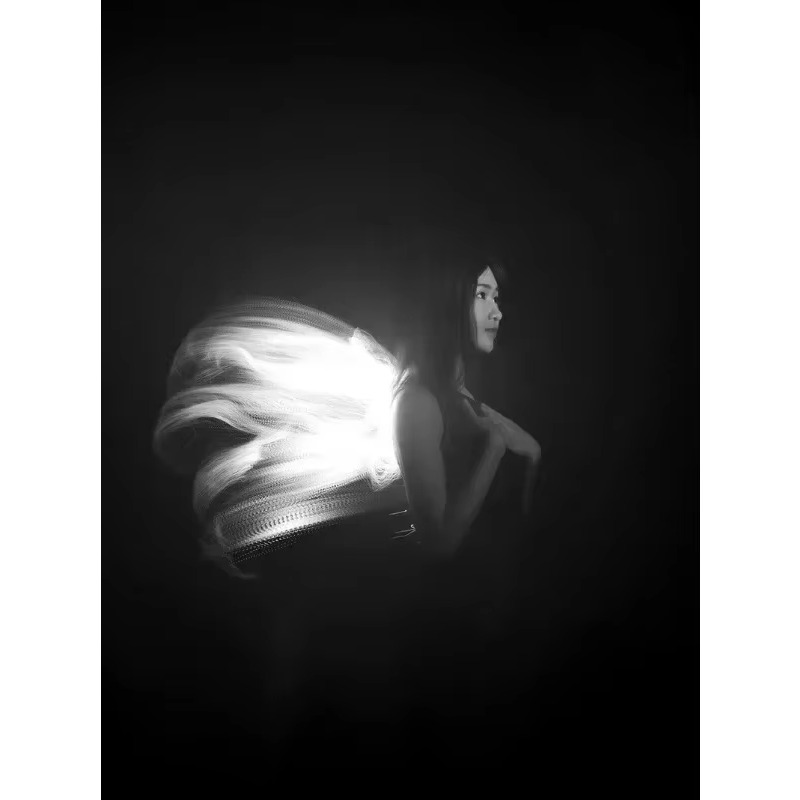 Modulo spazzola luminosa LLP p - Photography Lighting Guides recensione e prezzo