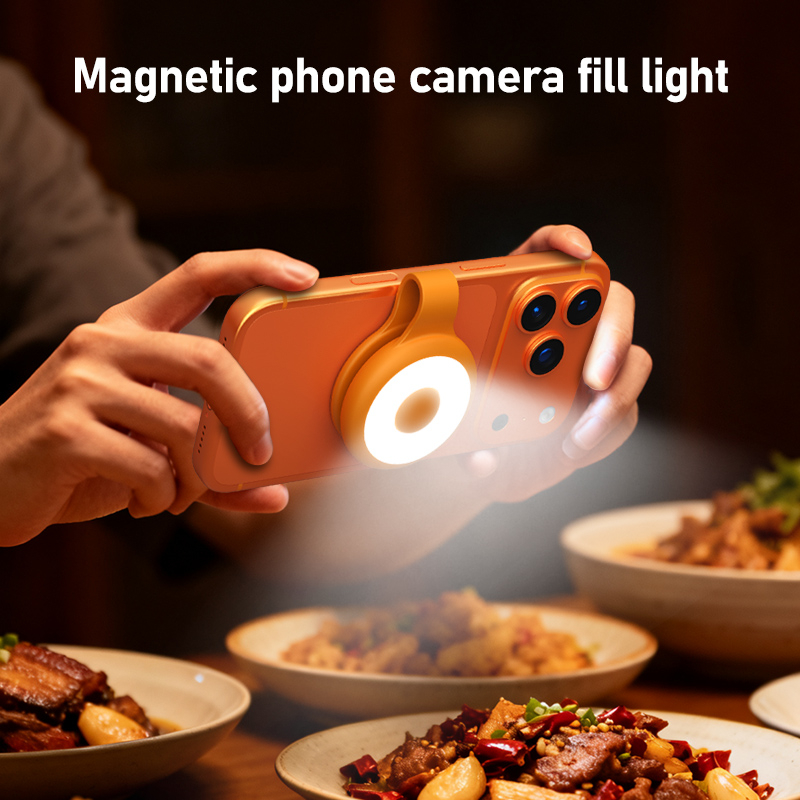 Luce di riempimento magnetica  - Photography Lighting Brands recensione e prezzo