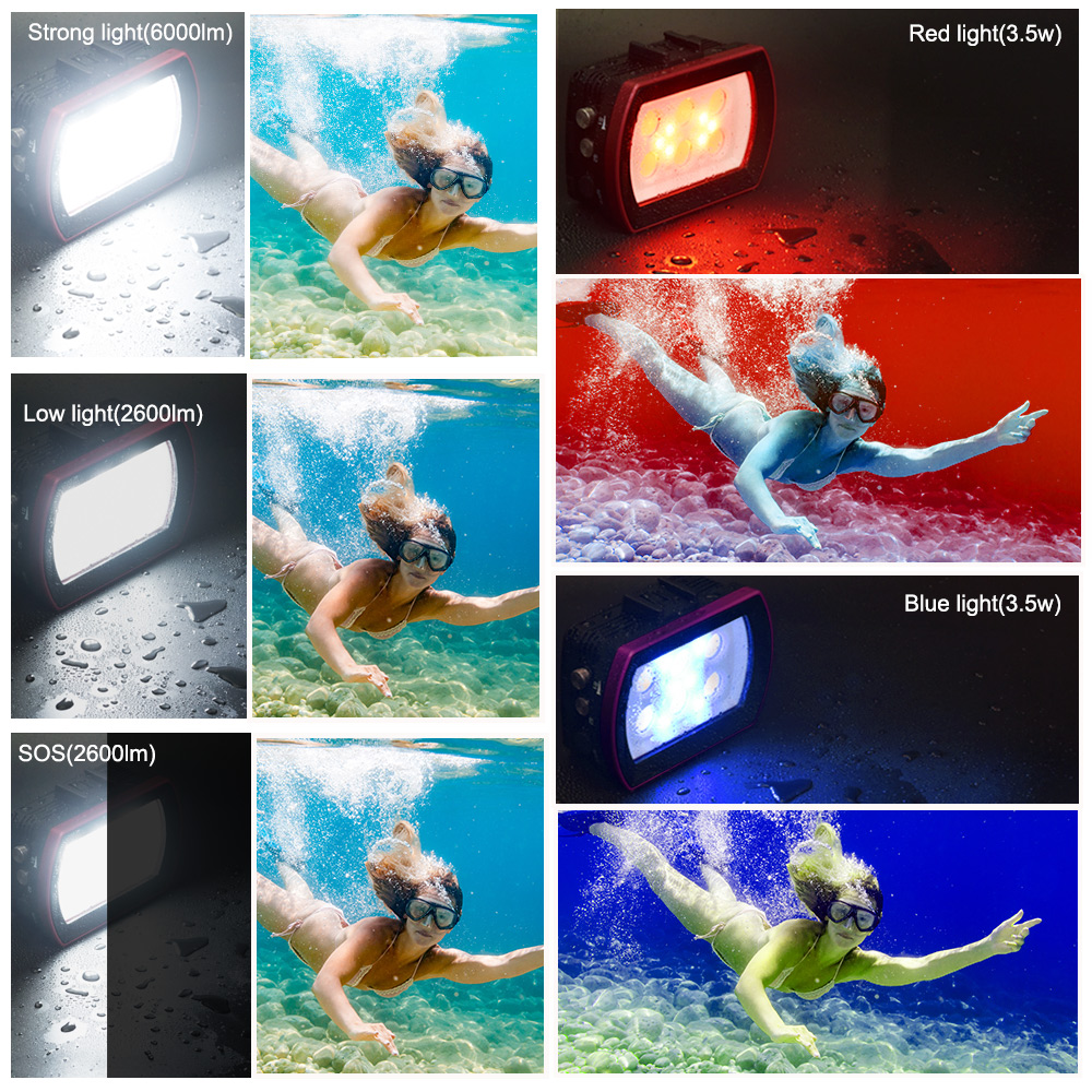 Seafrogs lampada subacquea a L - Photography Lighting Brands recensione e prezzo